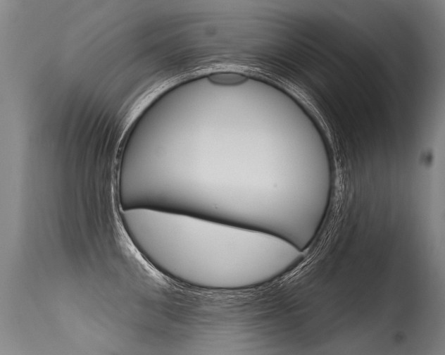 X0000115630906200911101116