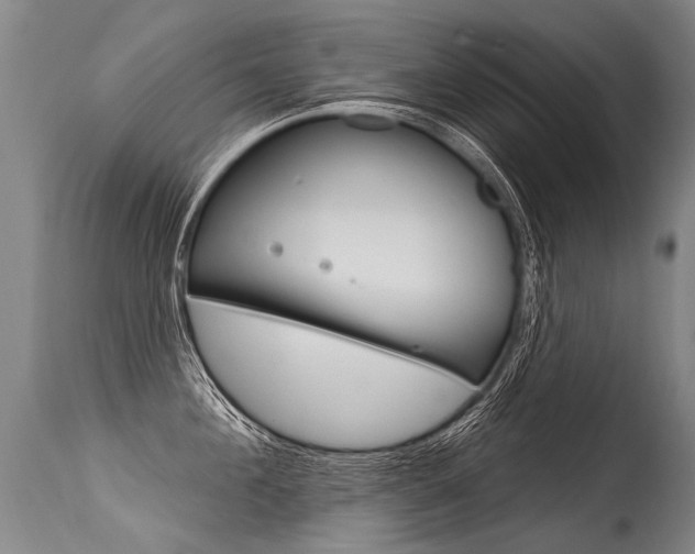 X0000115630908200911101116