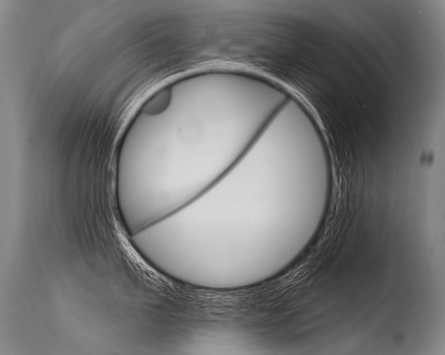 X0000115630911200911101116
