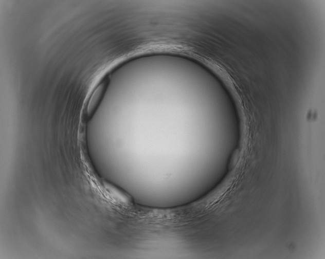 X0000115630912200911101116