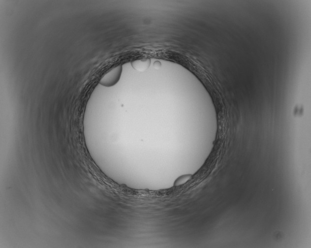 X0000115630913200911101115