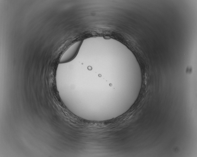 X0000115630915200911101115