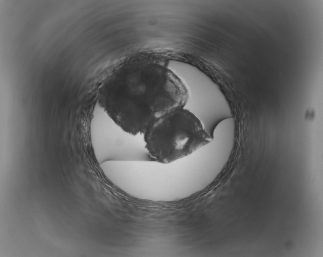 X0000115630917200911101115