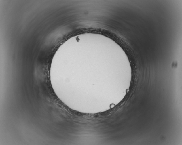 X0000115630918200911101115