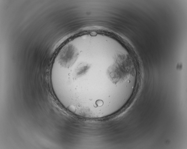 X0000115630921200911101115