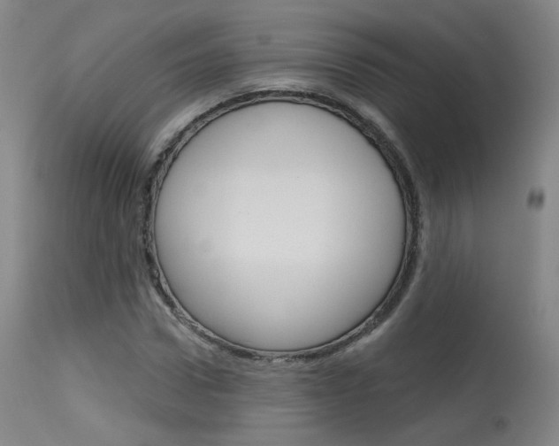 X0000115630922200911101115