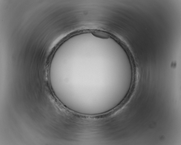 X0000115630925200911101115