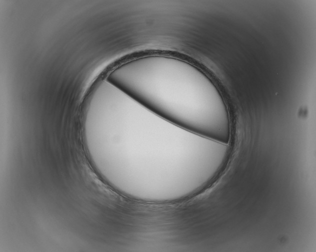 X0000115630926200911101115