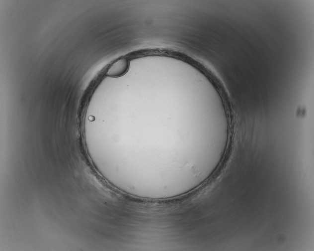 X0000115630927200911101115