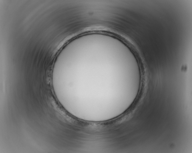 X0000115630929200911101115