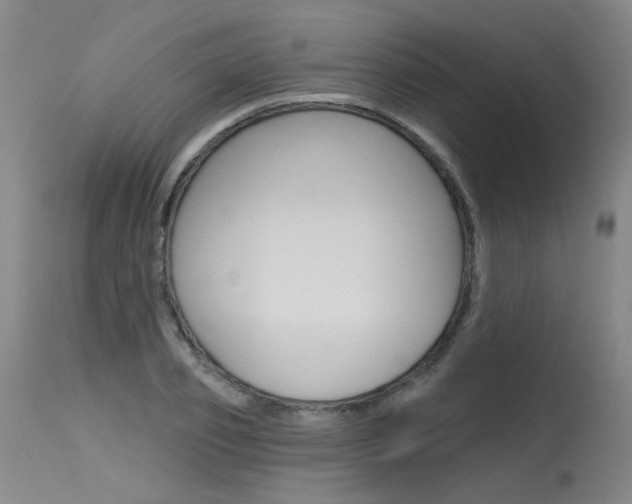 X0000115630933200911101115
