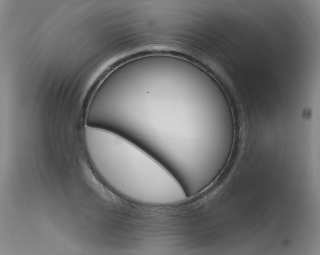 X0000115630934200911101115