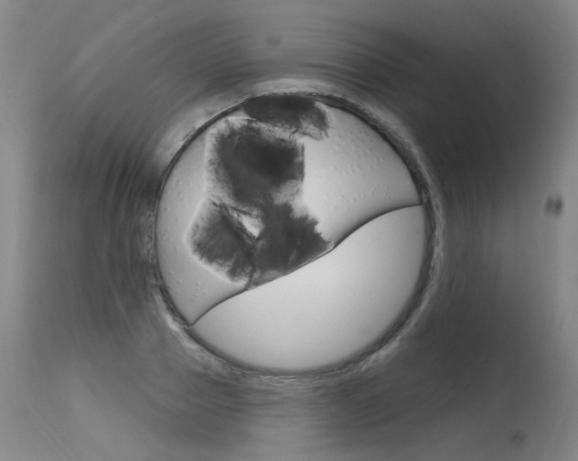 X0000115630937200911101115