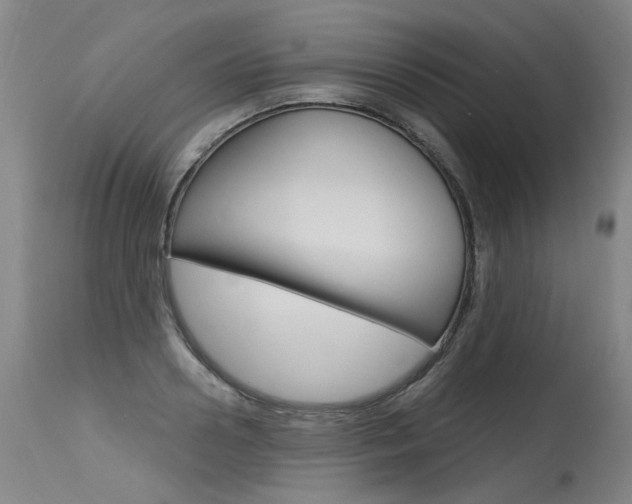X0000115630938200911101115