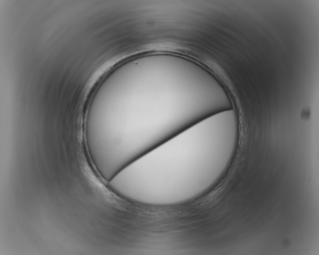 X0000115630939200911101115