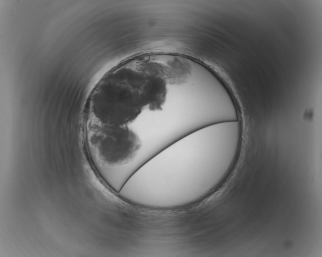 X0000115630941200911101115