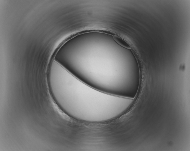 X0000115630942200911101115