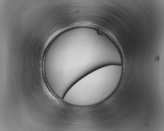 X0000115630947200911101116