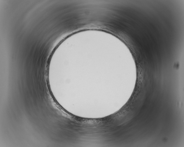 X0000115630950200911101116
