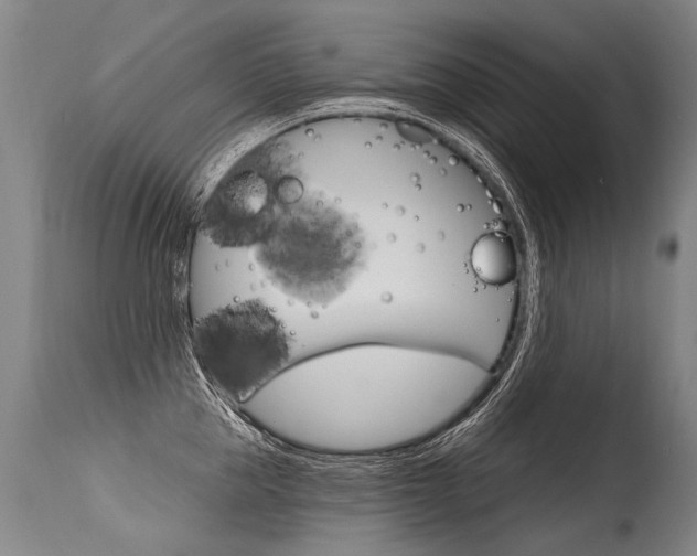 X0000115630953200911101116