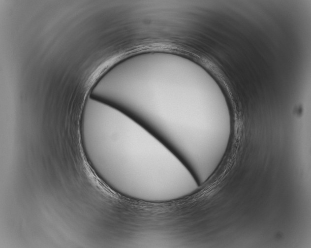 X0000115630954200911101116