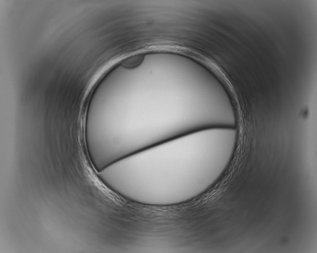 X0000115630955200911101116