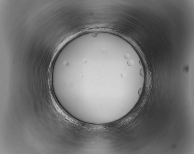 X0000115630957200911101116