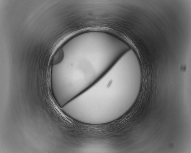 X0000115630959200911101116