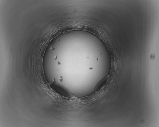 X0000115630961200911101115