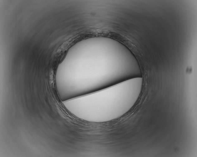 X0000115630963200911101115