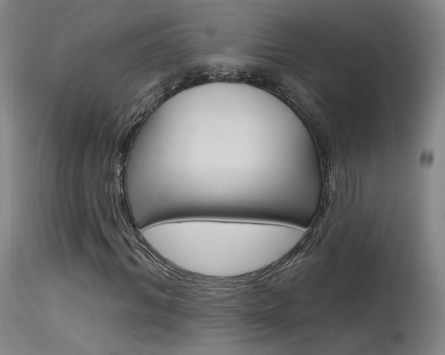 X0000115630964200911101115