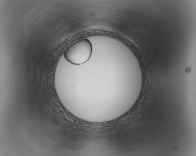 X0000115630965200911101115