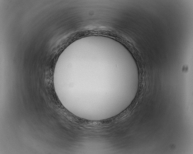 X0000115630966200911101115