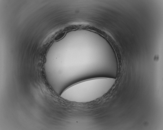 X0000115630967200911101115