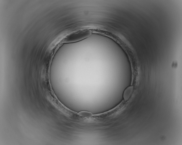 X0000115630969200911101115