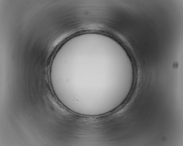 X0000115630970200911101115
