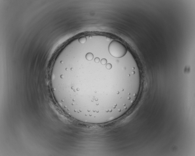 X0000115630974200911101115