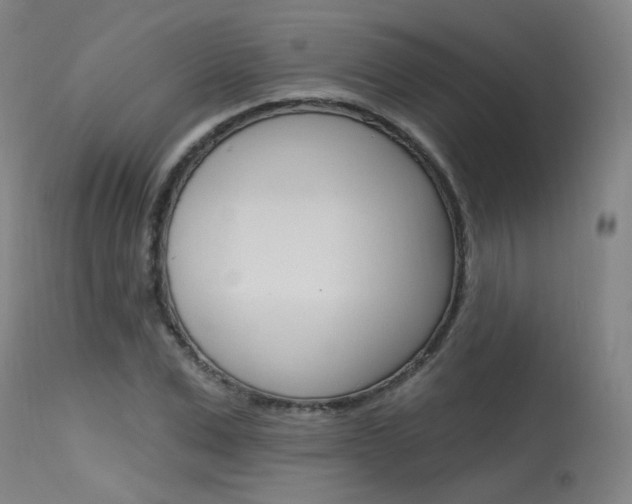 X0000115630975200911101115