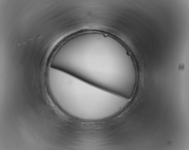 X0000115630976200911101115