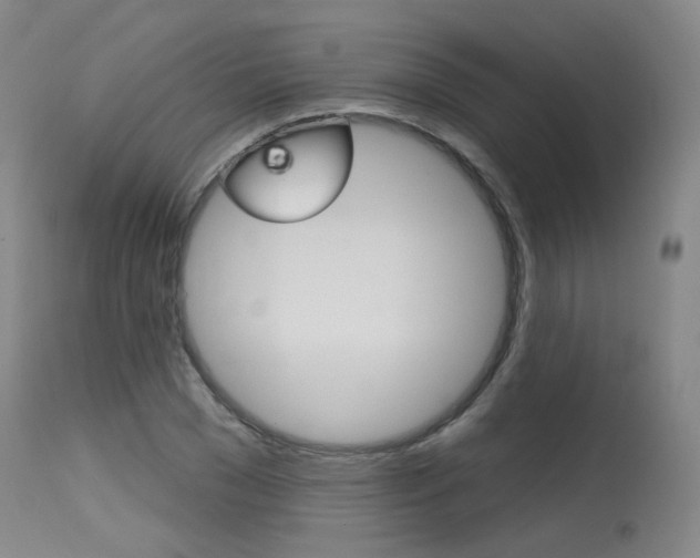 X0000115630977200911101115