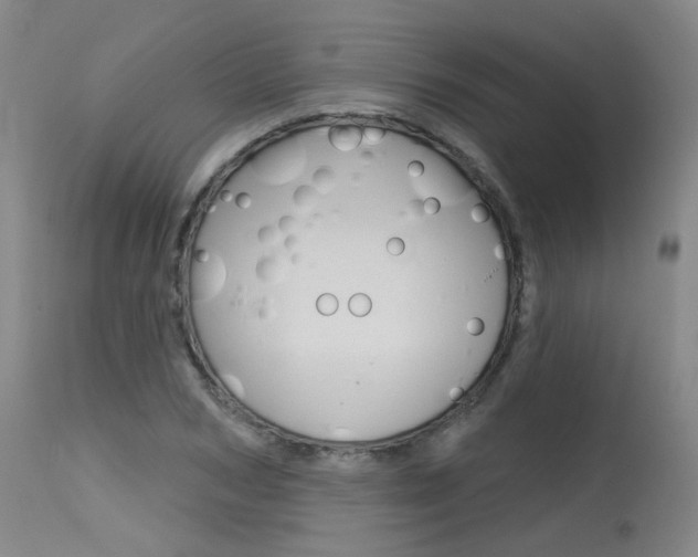 X0000115630978200911101115