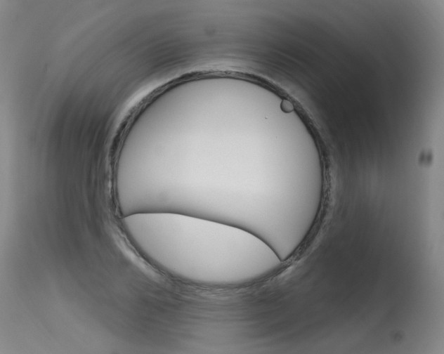 X0000115630982200911101115