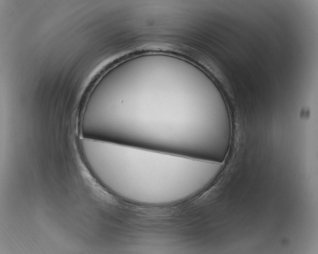 X0000115630984200911101115