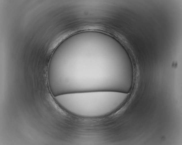 X0000115630985200911101115