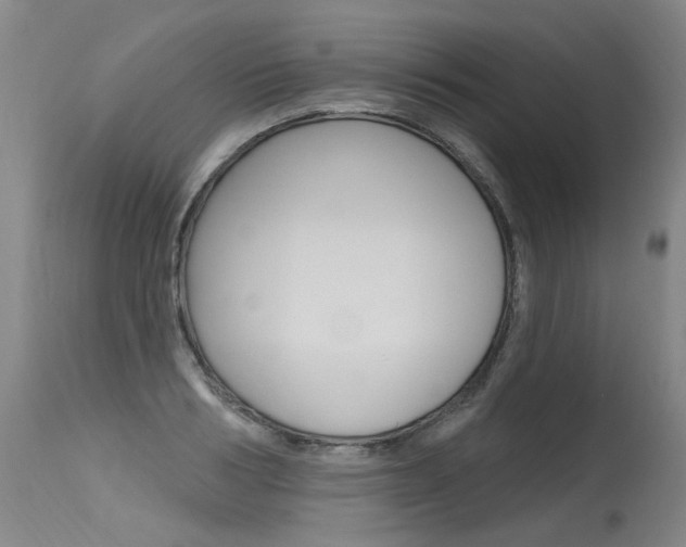 X0000115630986200911101115