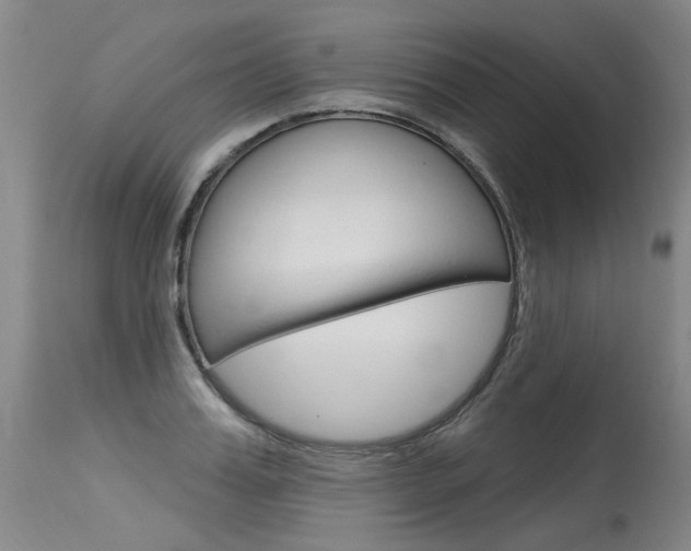 X0000115630987200911101115
