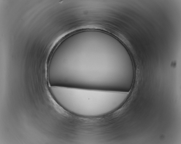X0000115630988200911101115