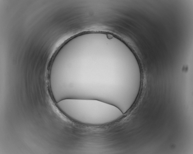 X0000115630990200911101115