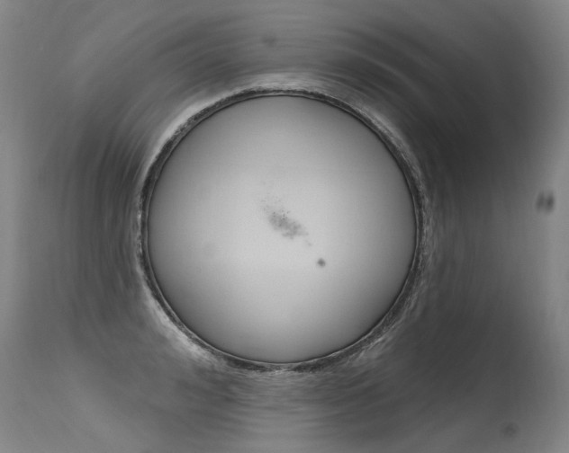 X0000115630992200911101115