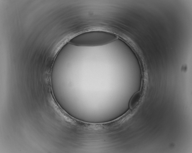 X0000115630993200911101115